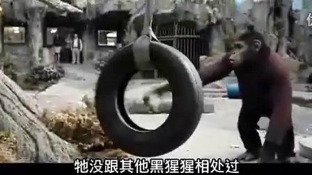 [图]猿族崛起 Rise of the Planet of the A