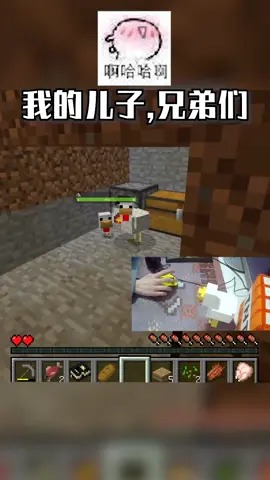 当你在我的世界里变成了鸡!孵出小鸡!