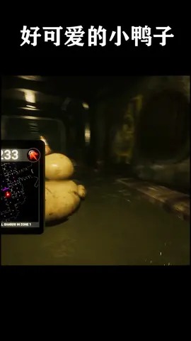 小鸭子真可爱,就是有腿毛