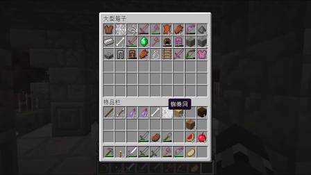 [图]【Minecraft我的世界】《帕西的CTM失眠冒险 EP2昏暗坟场》