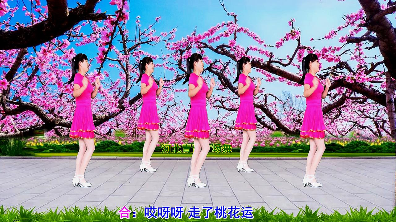 桃花运广场舞dj版mp3下载 广场舞dj版最新舞曲