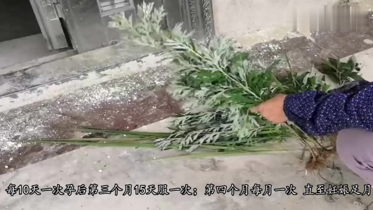 艾叶煮鸡蛋的正确吃法,常吃有这些好处