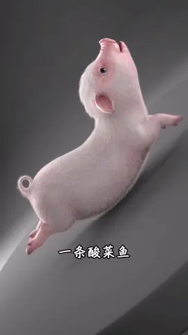 你们要的猪小迈酸菜鱼,竖版屏保来了