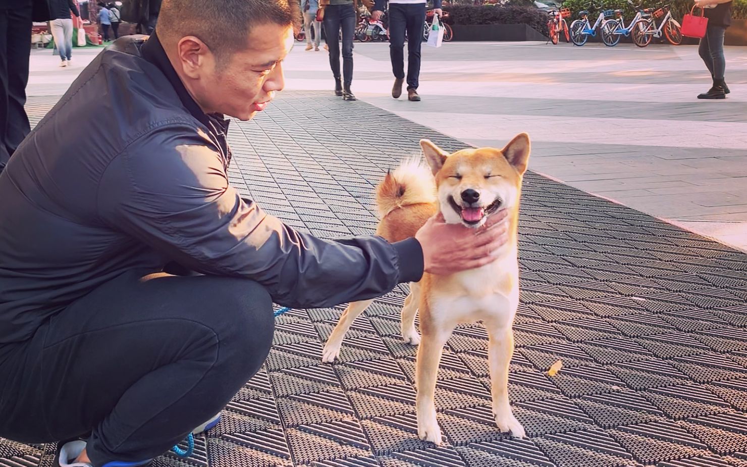 狗狗和萌娃的组合 实在是太治愈了 你们看看这只柴犬就知道了 相关视频 狗狗跟对主人到底有多重要 来看看这只柴犬的生活 就知道了 爱言情