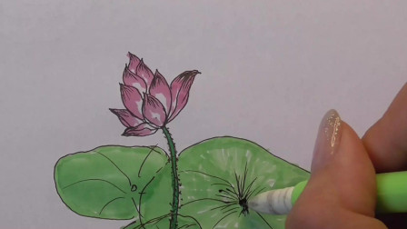 6小巧荷花的画法  01:28  来源:腾讯视频-教宝宝如何画美丽的荷花简