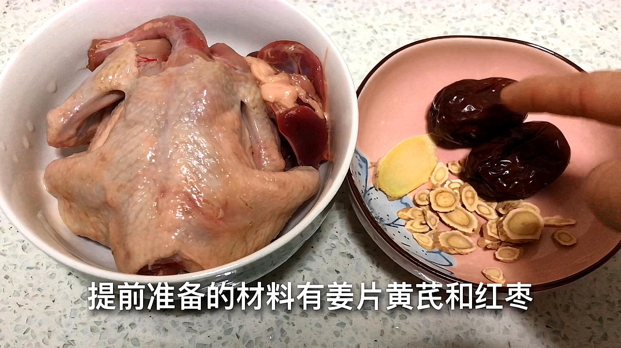 世界汤炖最鸽子迷你营养有大熊猫下载图片