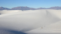 [图]全白的沙丘你见过吗?就像夏季的细雪漫山遍野,是世界著名奇观之一