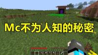 [图]我的世界Minecraft: 8个不为人知的秘密