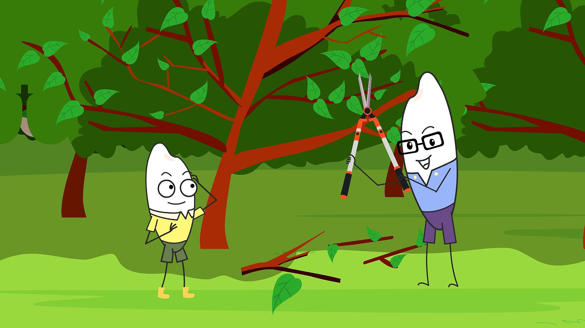 为什么要给植物修剪枝桠?