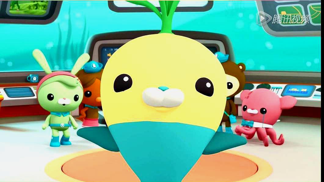 海底小纵队:虎鲸家族喜欢自己玩耍,他们总有说不完的话!