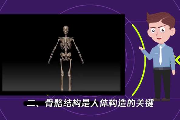身体各部位的名称 百度
