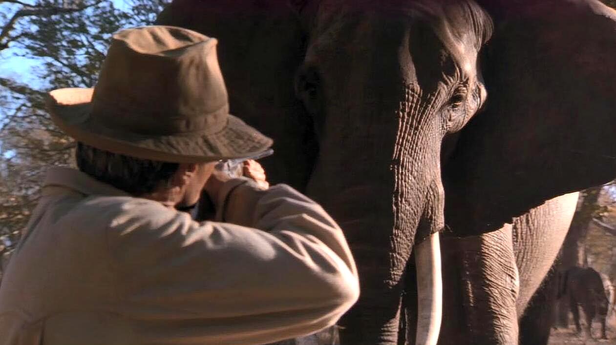 知名导演不好好拍电影,偏要跑去非洲猎杀大象!一部美国冒险电影