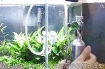 疯狂水草co2钢瓶靠谱吗 百度视频搜索