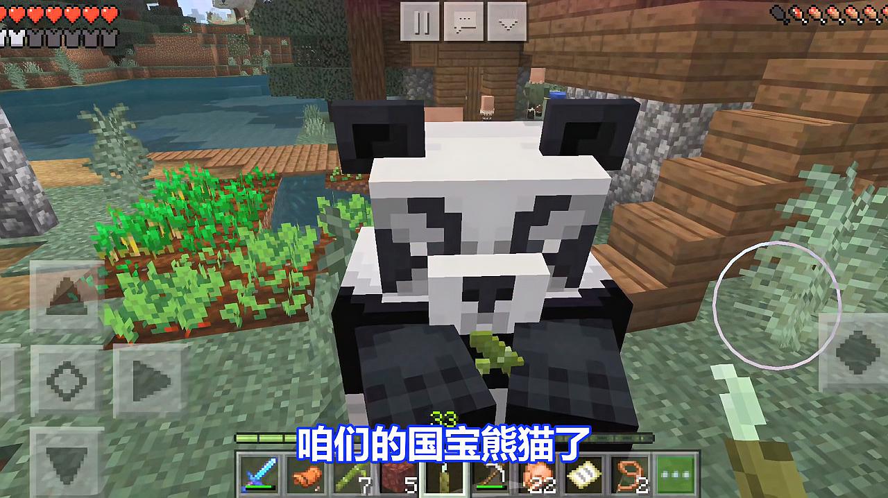 我的世界:新版本的熊猫如何牵回家?