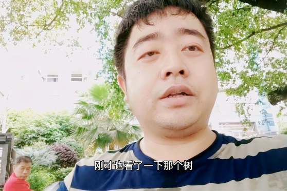 茂盛的意思是什么 百度 茂盛的意思是什么 百度
