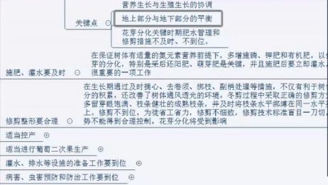 葡萄花芽分化的两个阶段分别是什么 爱言情