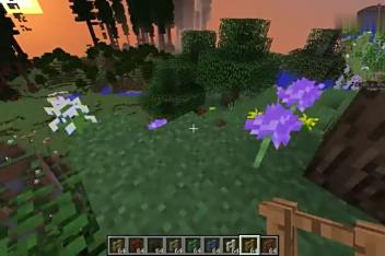 竹mod Minecraft