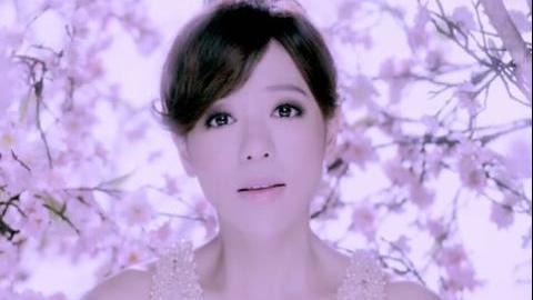 丁当《手掌心》mv