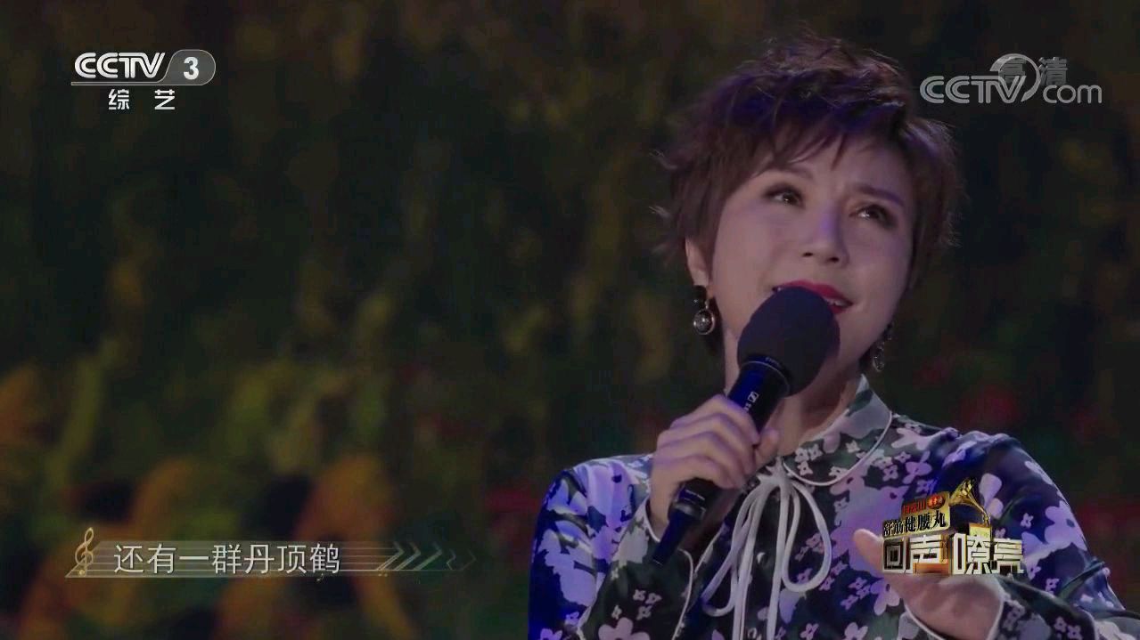 林萍深情演唱《一个真实的故事》感人至深,催人泪下