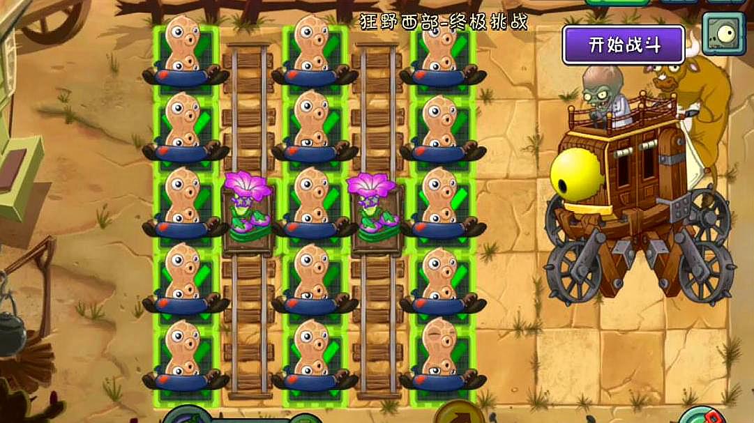 花生射手 全网资源