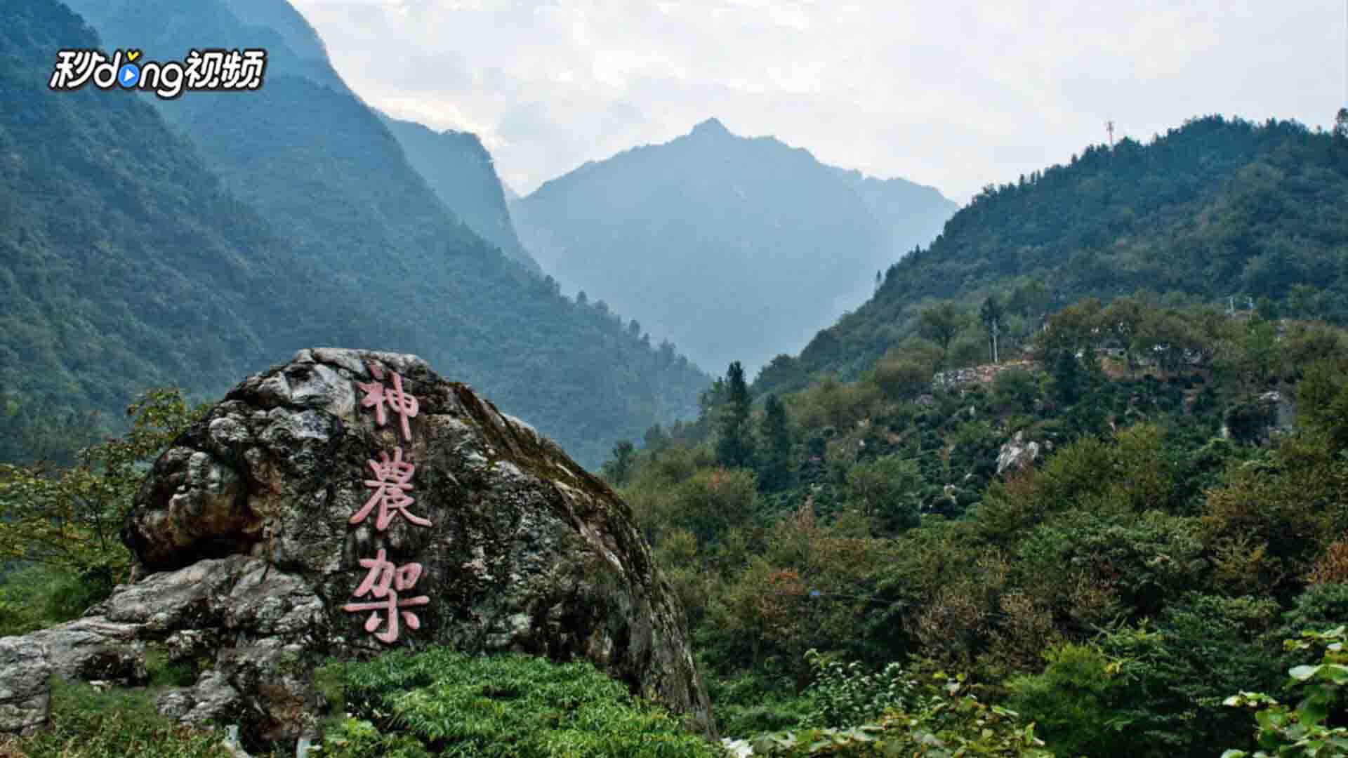 神農架自駕遊旅遊攻略