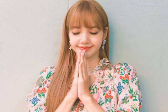 Lisa是什么脸型 百度