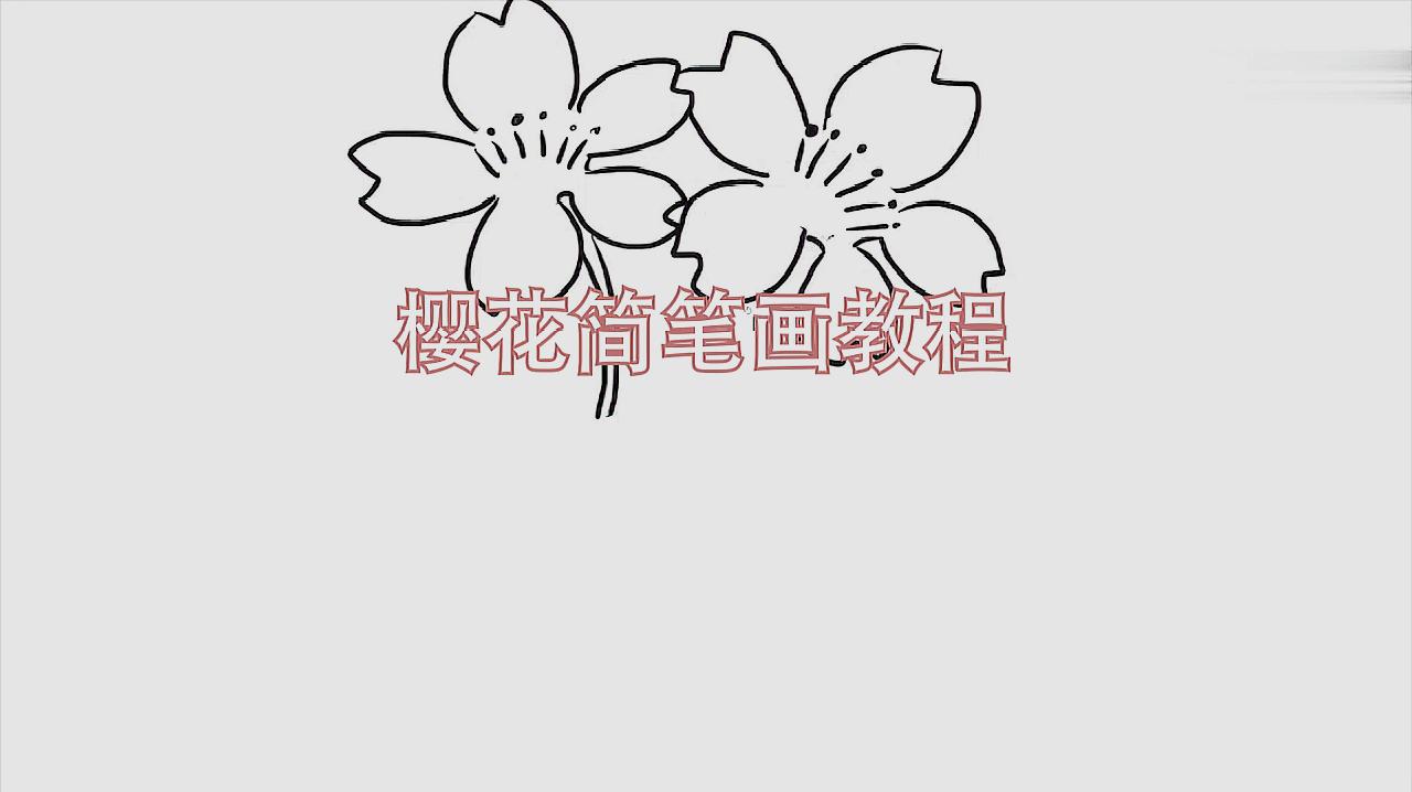 怎么画樱花简笔画