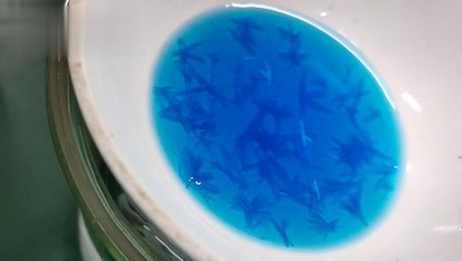 实验 五水硫酸铜结晶过程 爱言情 爱生活爱言情