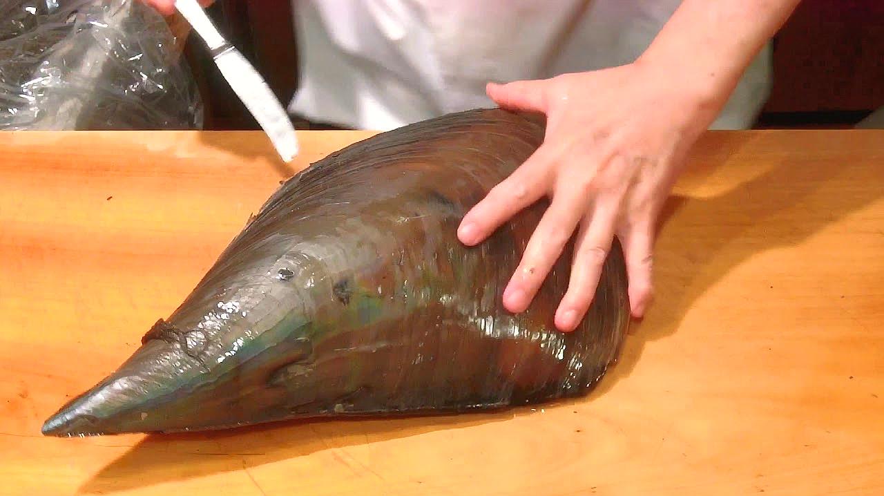 贝壳_百度搜索