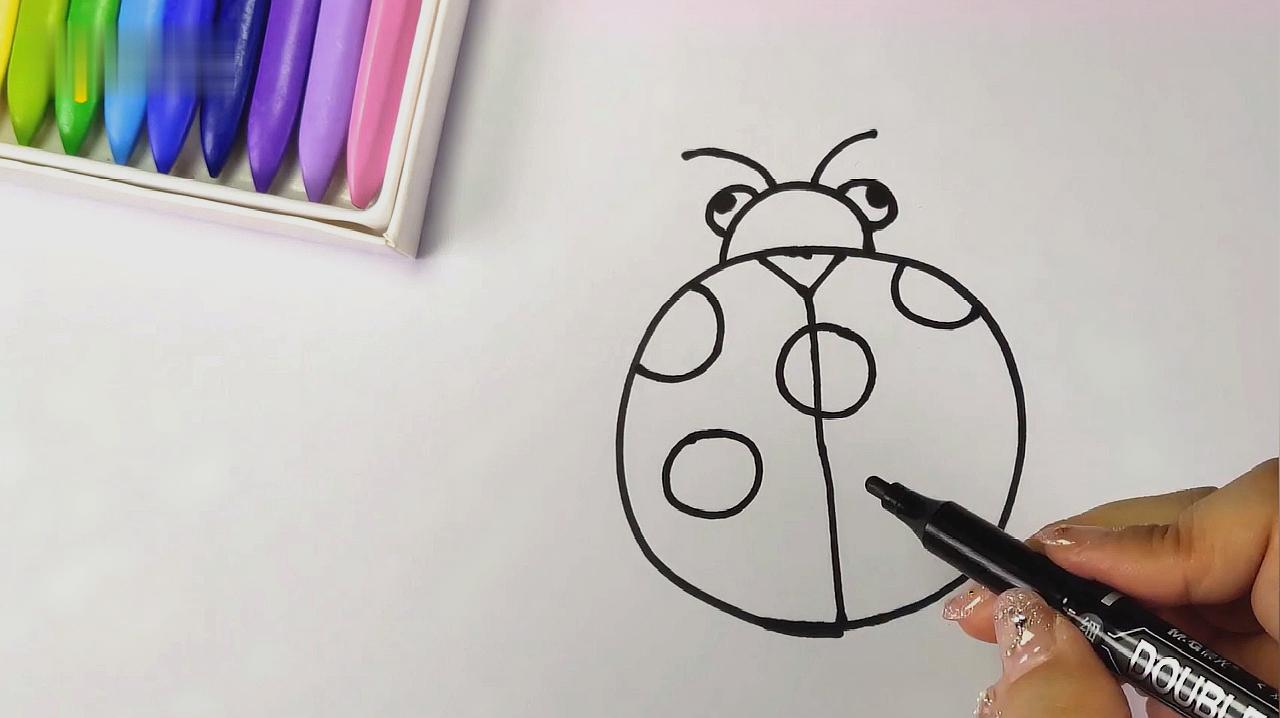 昆虫怎么画好看?