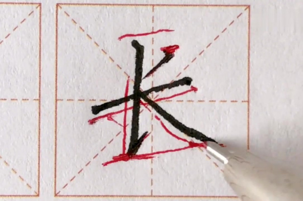 丹的笔顺怎么写