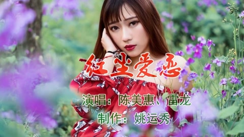 情歌对唱《红尘爱恋》陈美惠,雷龙