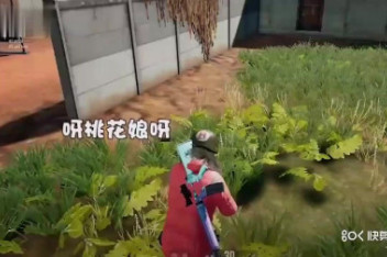西瓜太郎和桃花娘视频 百度视频搜索
