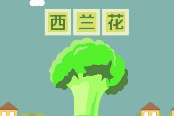 西兰花英语音标怎么读 百度 西兰花英语音标怎么读 百度