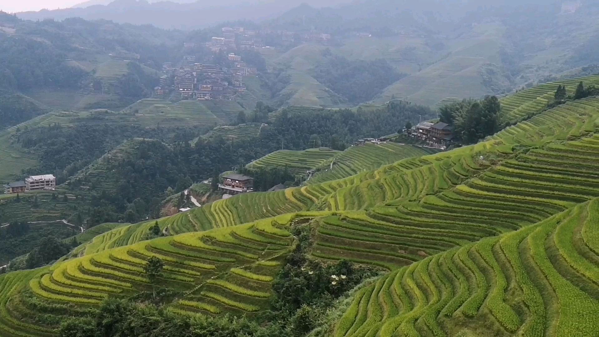 桂林龙脊梯田风景区,全部景色
