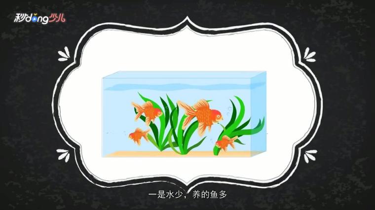 金鱼到水面上吐泡泡 百度 金鱼到水面上吐泡泡 百度