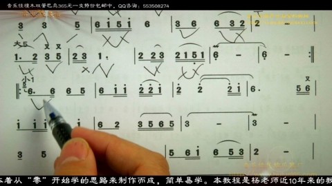 《绒花》葫芦丝独奏 演奏 音乐佳葫芦丝介绍名曲欣赏