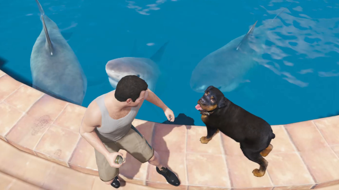 gta5 在泳池上发现四条鲨鱼,我把我的小查推了下去