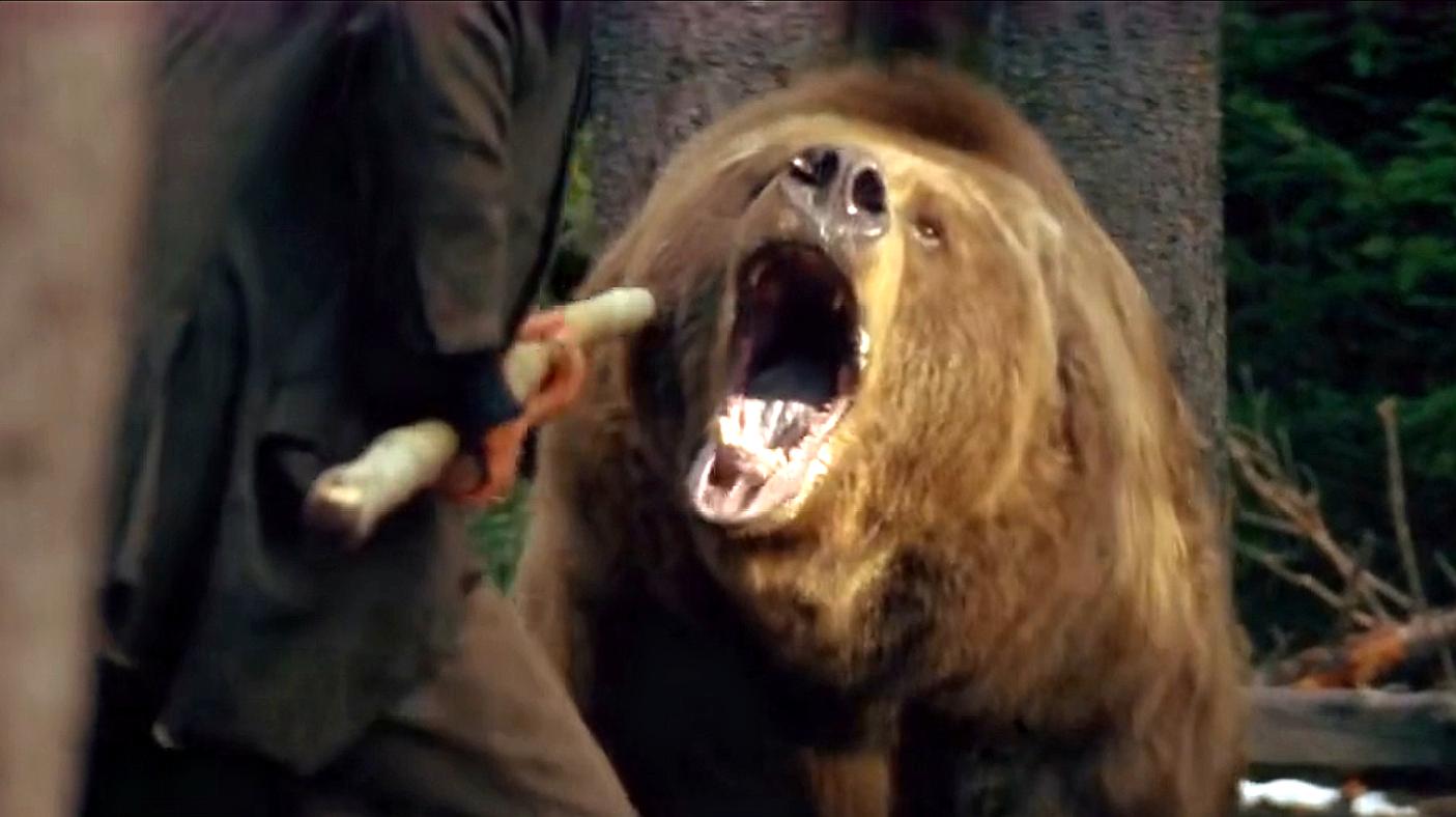 熊攻击人类的电影图片