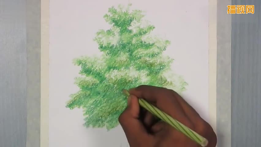 水溶性彩铅画 怎么画一棵树 绘画过程