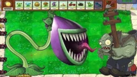 游戏直通车:《植物大战僵尸》之食人花的精彩视频集锦