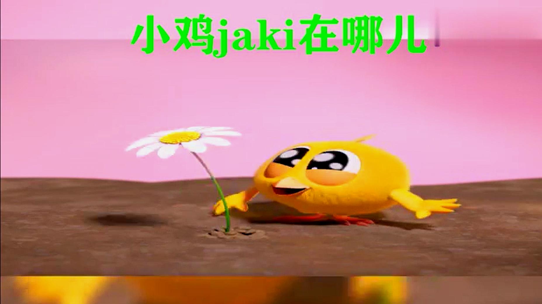 不一样的早教视频:小鸡jaki在哪儿