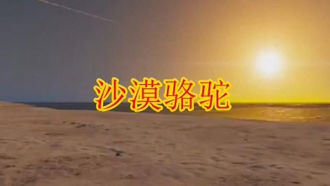 网红歌曲《沙漠骆驼》流行音乐中的经典,百听不厌