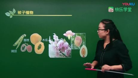 初中生物 裸子植物和被子植物 爱言情