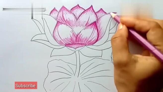 一层一层的画出荷花的花瓣,画出花茎,在下面画一个荷叶,最后涂上颜色