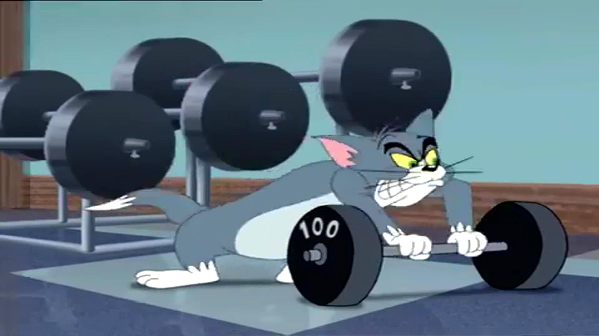 猫和老鼠:杰瑞鼠和汤姆猫健身房展开大战,汤姆猫太暴力了