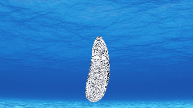 顿水吸虫那些事,你知道多少