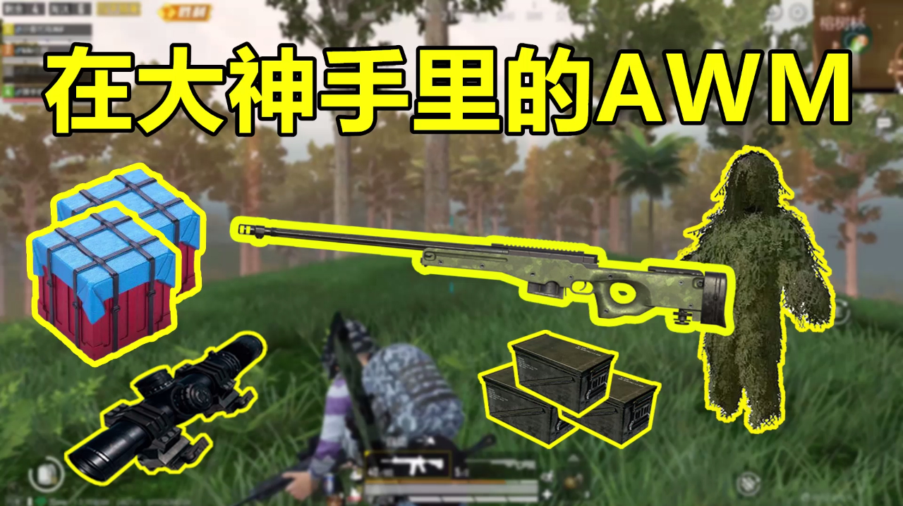 小香吃鸡:《和平精英》之awm的视频集合