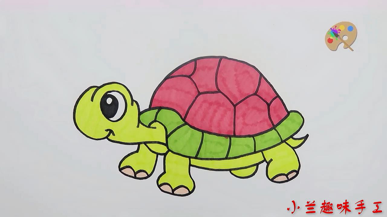 彩色小乌龟简笔画图片 小乌龟儿童绘画作品图集 5068儿童网