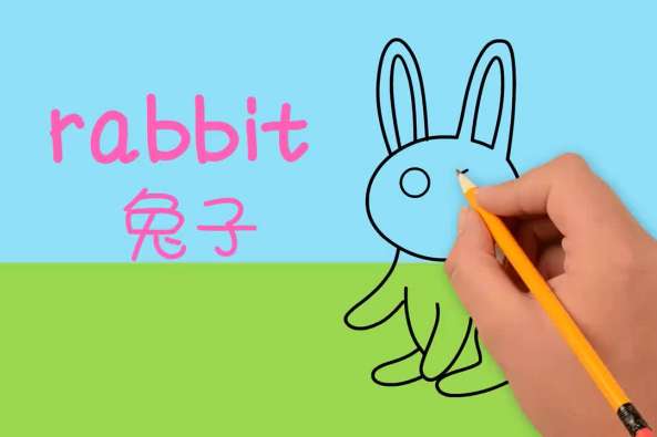 兔子的英文怎么读音 百度
